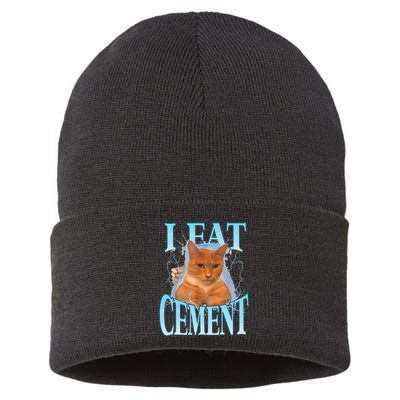 I Eat Cement Cursed Cat Funny Oddly Specific Dank Meme Sustainable Knit Beanie