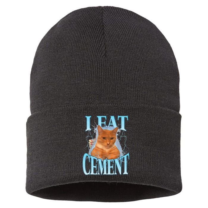 I Eat Cement Cursed Cat Funny Oddly Specific Dank Meme Sustainable Knit Beanie