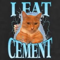 I Eat Cement Cursed Cat Funny Oddly Specific Dank Meme 25L Jumbo Tote