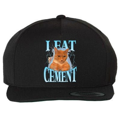 I Eat Cement Cursed Cat Funny Oddly Specific Dank Meme Wool Snapback Cap