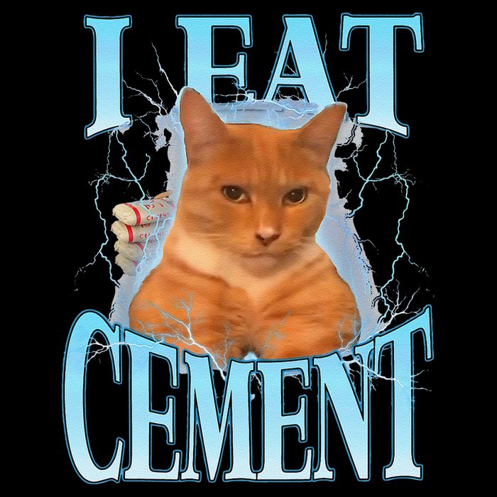 I Eat Cement Cursed Cat Funny Oddly Specific Dank Meme Wool Snapback Cap