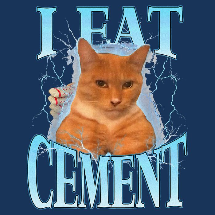 I Eat Cement Cursed Cat Funny Oddly Specific Dank Meme Infant Baby Jersey Bodysuit