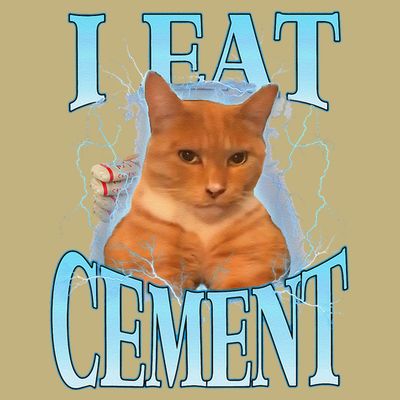 I Eat Cement Cursed Cat Funny Oddly Specific Dank Meme T-Shirt