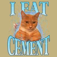 I Eat Cement Cursed Cat Funny Oddly Specific Dank Meme Button