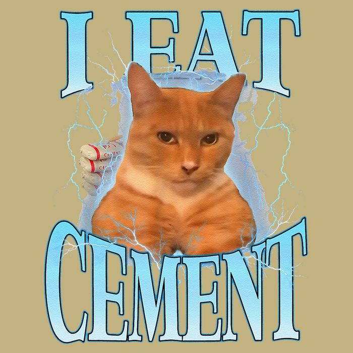 I Eat Cement Cursed Cat Funny Oddly Specific Dank Meme Button