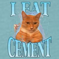 I Eat Cement Cursed Cat Funny Oddly Specific Dank Meme Sueded Cloud Jersey T-Shirt