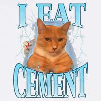 I Eat Cement Cursed Cat Funny Oddly Specific Dank Meme Garment-Dyed Sweatshirt
