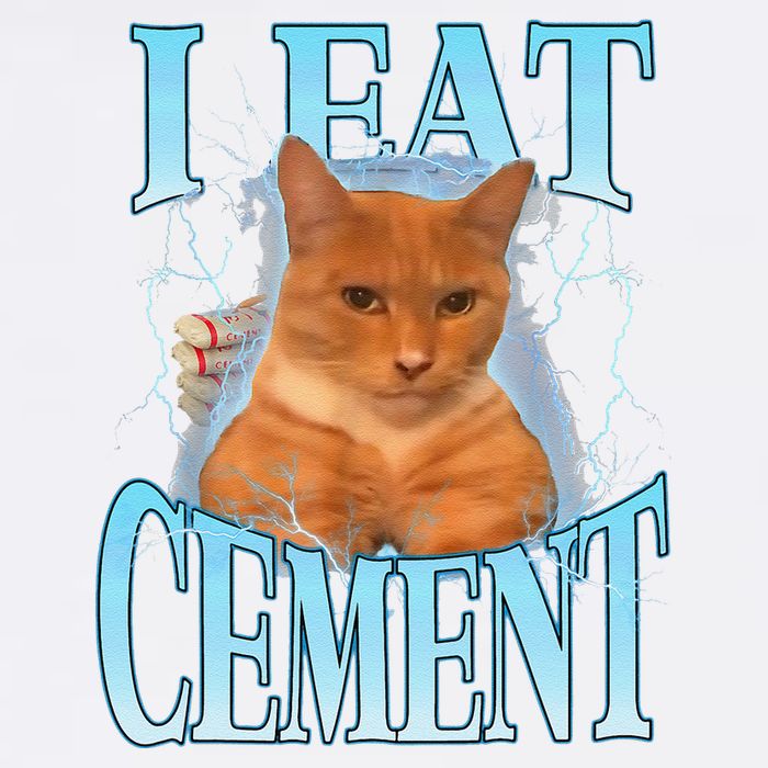 I Eat Cement Cursed Cat Funny Oddly Specific Dank Meme Garment-Dyed Sweatshirt