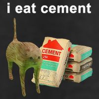 I Eat Cement Cursed Cat Oddly Specific Beanie