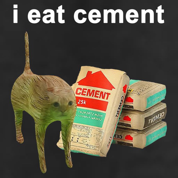 I Eat Cement Cursed Cat Oddly Specific Beanie