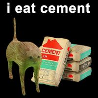 I Eat Cement Cursed Cat Oddly Specific Drawstring Bag