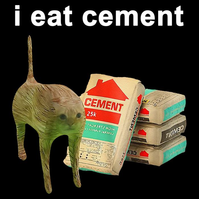 I Eat Cement Cursed Cat Oddly Specific 16 in Basic Backpack