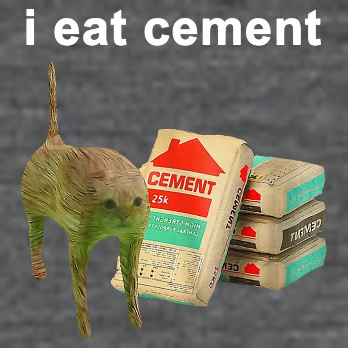 I Eat Cement Cursed Cat Oddly Specific Backpack