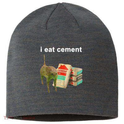 I Eat Cement Cursed Cat Oddly Specific Sustainable Beanie