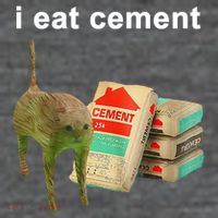 I Eat Cement Cursed Cat Oddly Specific Sustainable Beanie