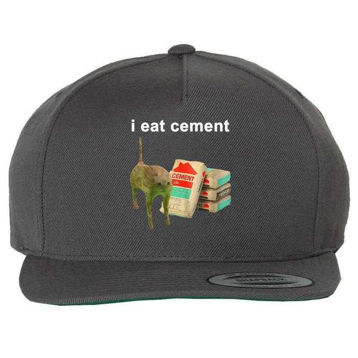 I Eat Cement Cursed Cat Oddly Specific Wool Snapback Cap