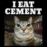 I Eat Cement Cat Funny Meme 16 in Basic Backpack