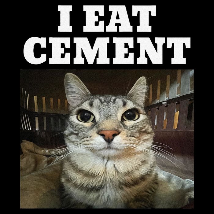 I Eat Cement Cat Funny Meme 16 in Basic Backpack