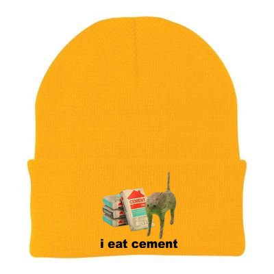 I Eat Cement Cursed Cat Funny Knit Cap Winter Beanie