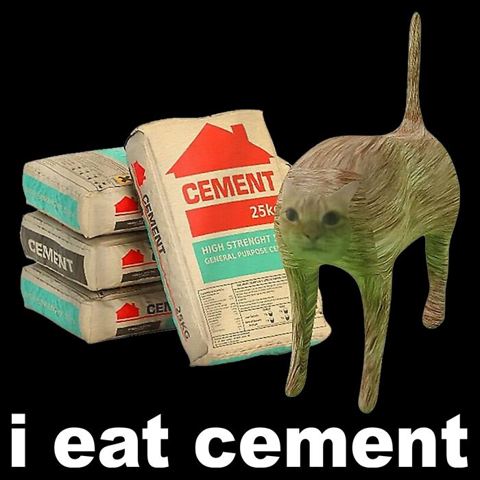I Eat Cement Cursed Cat Funny Backpack