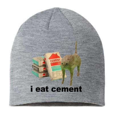 I Eat Cement Cursed Cat Funny Sustainable Beanie