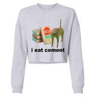 I Eat Cement Cursed Cat Funny Cropped Pullover Crew