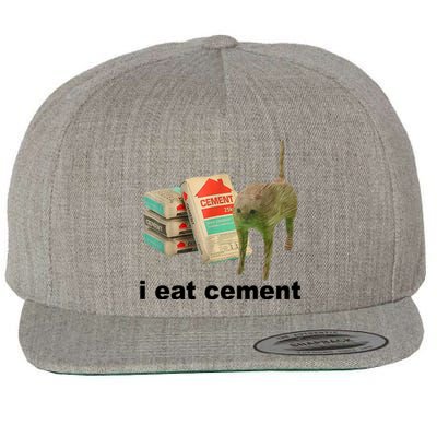 I Eat Cement Cursed Cat Funny Wool Snapback Cap