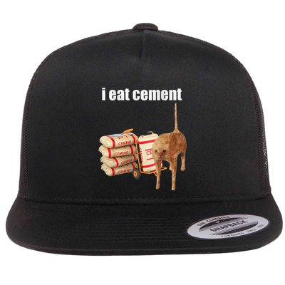 I Eat Cement Cursed Cat Funny Oddly Specific Meme Gift Flat Bill Trucker Hat