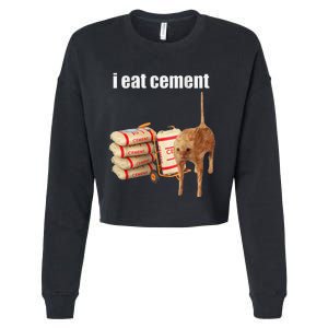 I Eat Cement Cursed Cat Funny Oddly Specific Meme Gift Cropped Pullover Crew