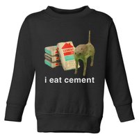 I Eat Cement Cursed Cat Funny Oddly Specific Dank Meme Toddler Sweatshirt