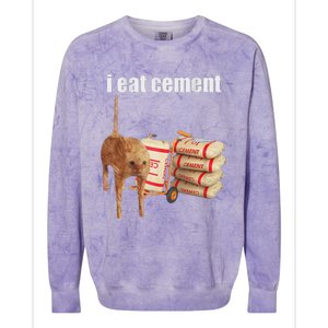 I Eat Cement Cursed Cat Funny Oddly Specific Dank Meme Colorblast Crewneck Sweatshirt