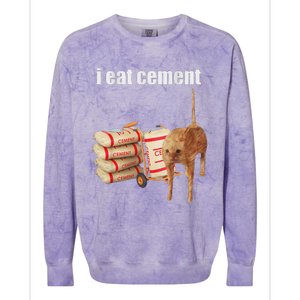 I Eat Cement Cursed Cat Funny Oddly Specific Meme Colorblast Crewneck Sweatshirt