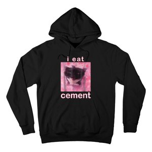 I Eat Cement Cursed Cat Funny Oddly Specific Dank Meme Hoodie