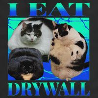 I Eat Drywall Funny Fat Cats Funny Hard Cat Silly Meme 7 Panel Mesh Trucker Snapback Hat