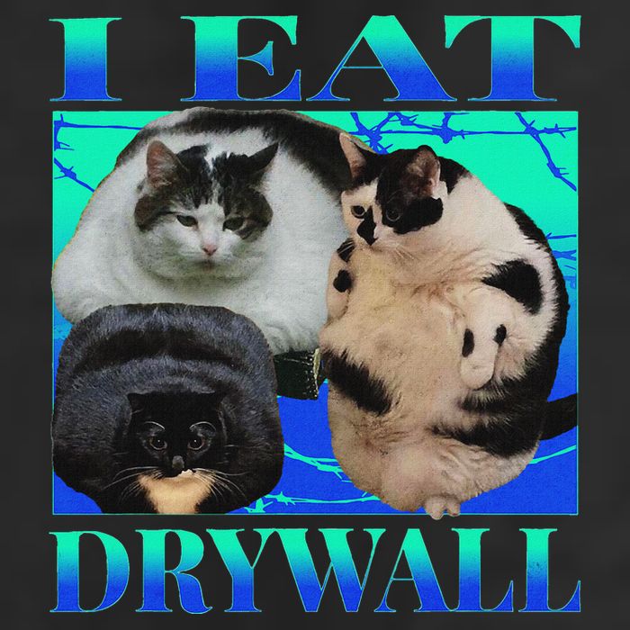 I Eat Drywall Funny Fat Cats Funny Hard Cat Silly Meme 7 Panel Mesh Trucker Snapback Hat