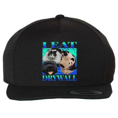 I Eat Drywall Funny Fat Cats Funny Hard Cat Silly Meme Wool Snapback Cap