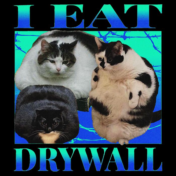 I Eat Drywall Funny Fat Cats Funny Hard Cat Silly Meme Zip Tote Bag