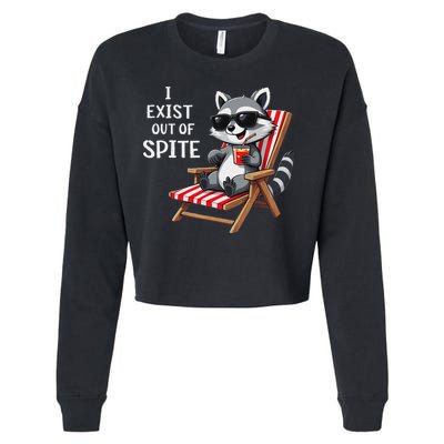 I Exist Out Of Spite Raccoon Sunglasses Cropped Pullover Crew