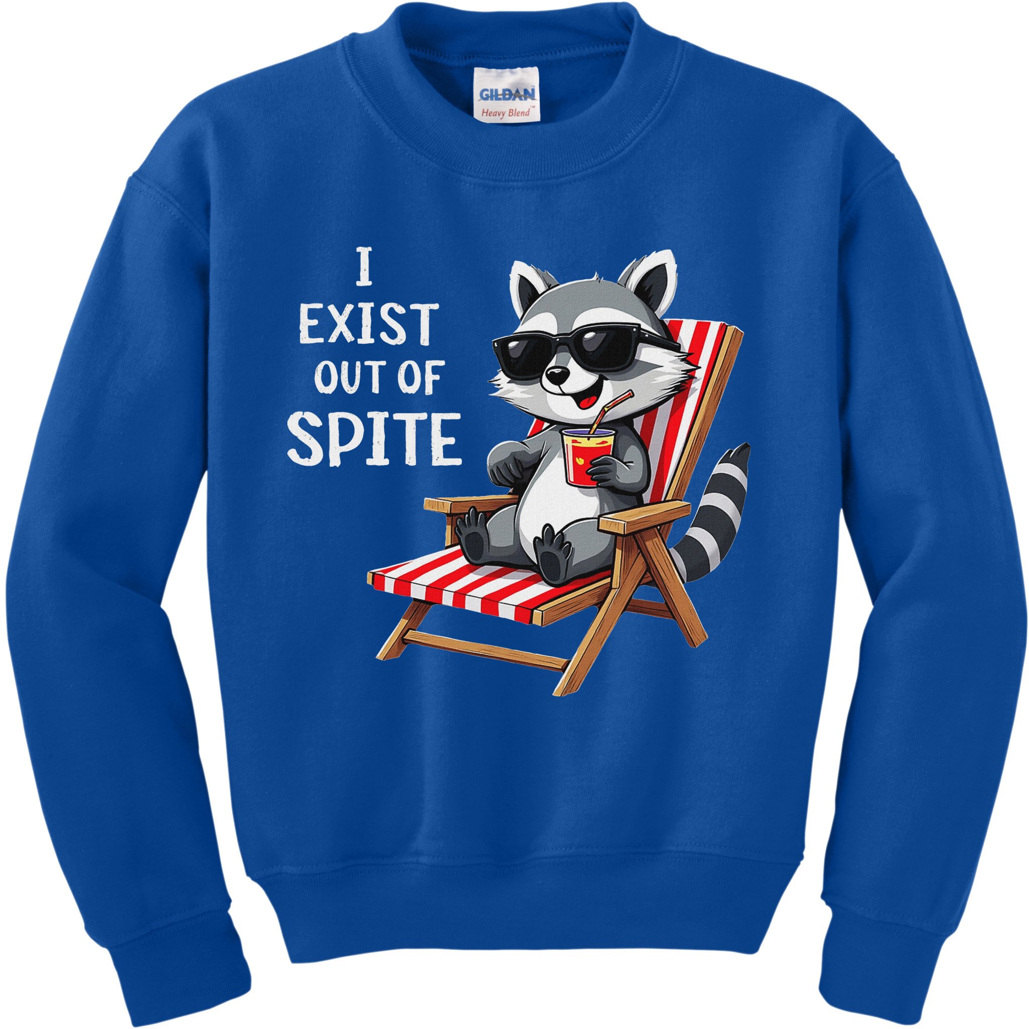 I Exist Out Of Spite Raccoon Sunglasses Kids Sweatshirt