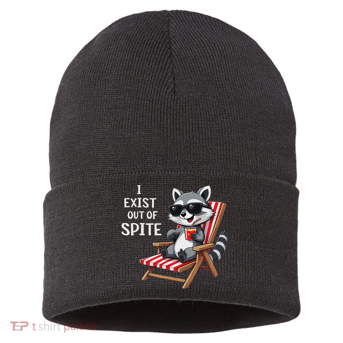 I Exist Out Of Spite Funny Raccoon Sunglasses Sustainable Knit Beanie
