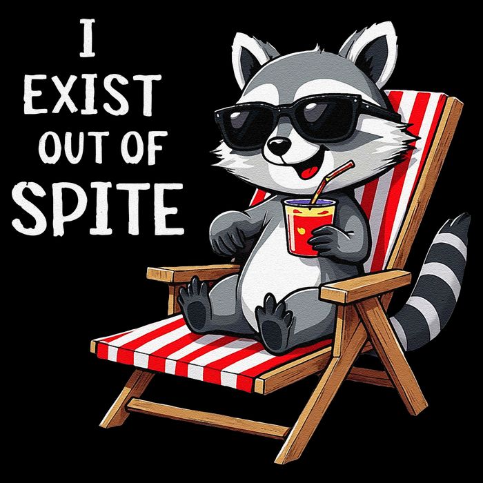 I Exist Out Of Spite Funny Raccoon Sunglasses Gift Toddler Hoodie
