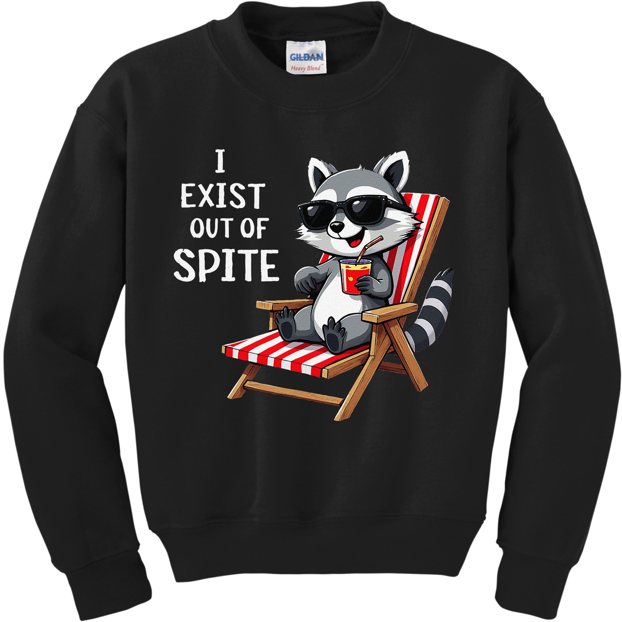 I Exist Out Of Spite Funny Raccoon Sunglasses Gift Kids Sweatshirt