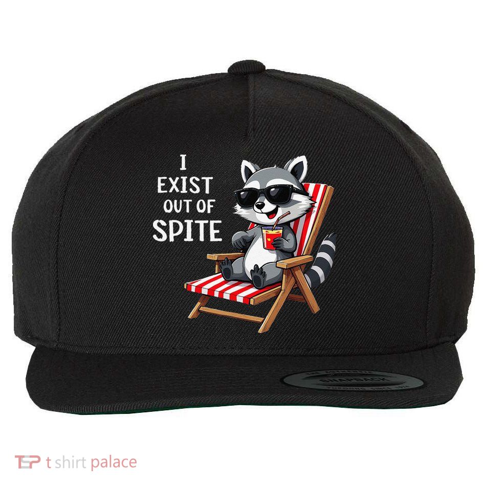 I Exist Out Of Spite Funny Raccoon Sunglasses Gift Wool Snapback Cap