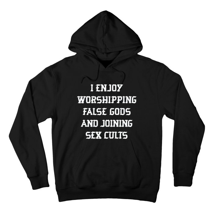 I Enjoy Worshing False Gods And Joining Sex Cults Hoodie