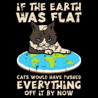 If Earth Was Flat Cat Pushed Everything Bucket Hat