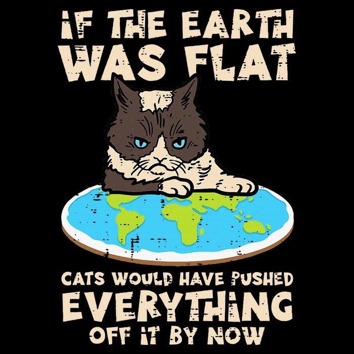 If Earth Was Flat Cat Pushed Everything Bucket Hat