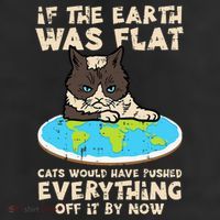 If Earth Was Flat Cat Pushed Everything Beanie