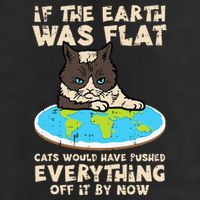 If Earth Was Flat Cat Pushed Everything Microfiber Hand Towel