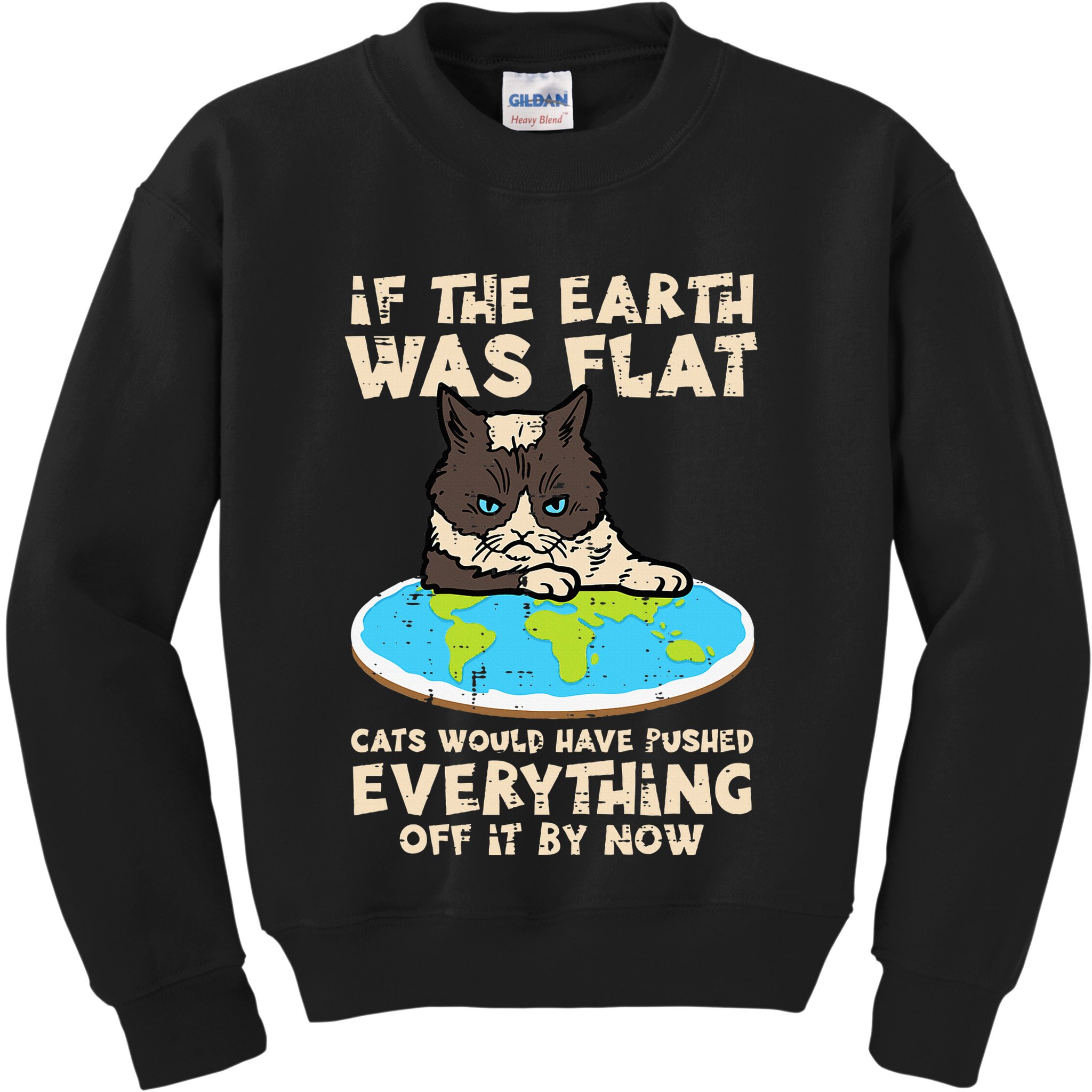 If Earth Was Flat Cat Pushed Everything Kids Sweatshirt