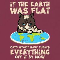 If Earth Was Flat Cat Pushed Everything 16oz Travel Tumbler